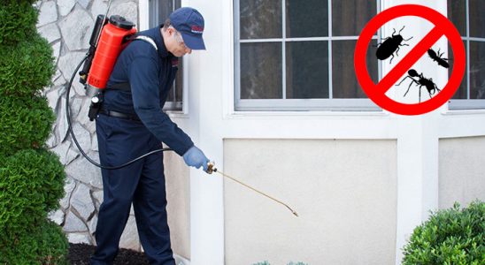 Kağıthane Tahtakurusu İlaçlama böcek ilaçlama ve haşere kontrolü — ilaclama-tr.com